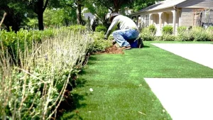 Common Garden Issues and How Gardening Experts Solve Them